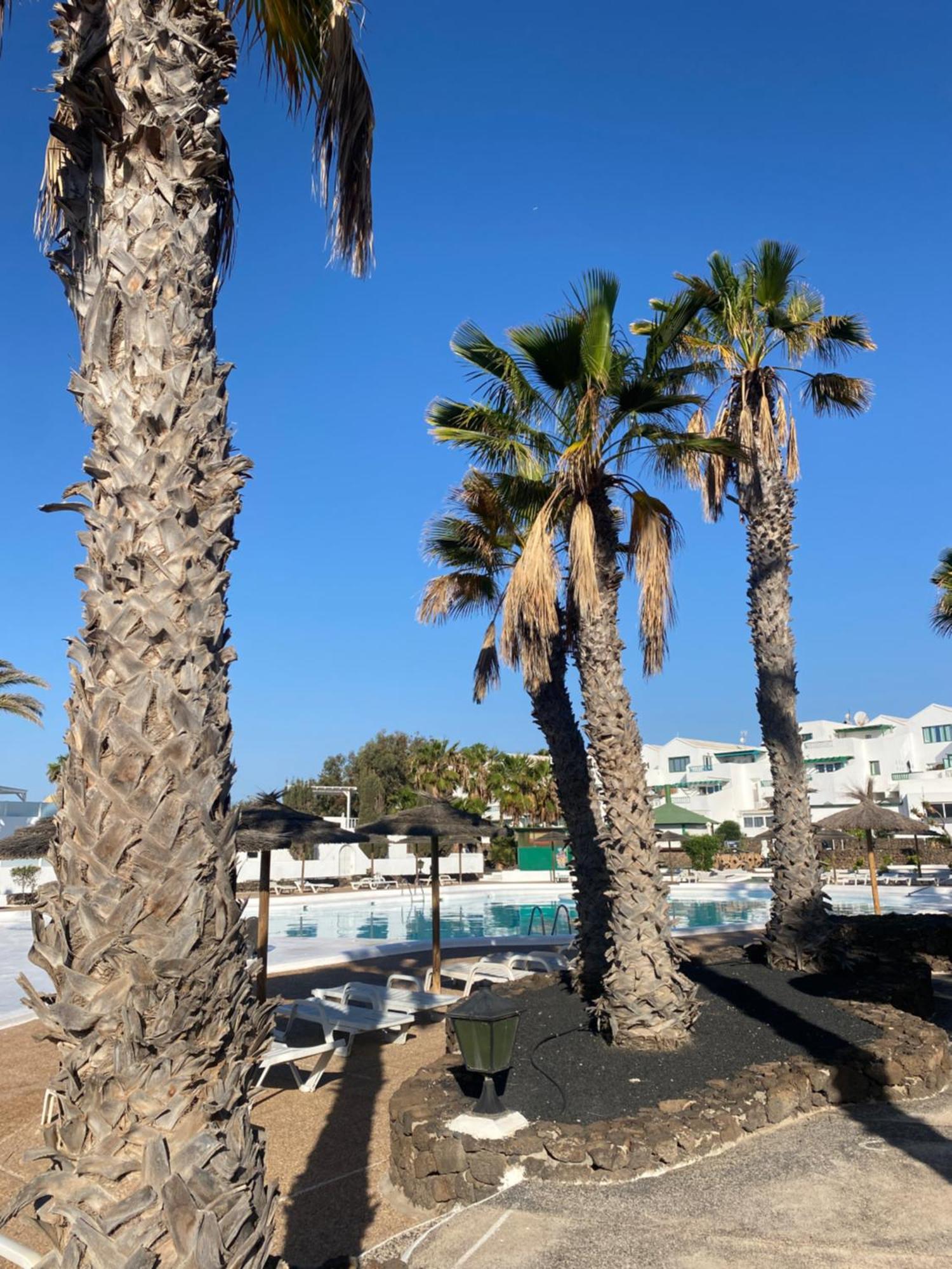 First Floor Apartment With Sea View, Costa Teguise Eksteriør bilde